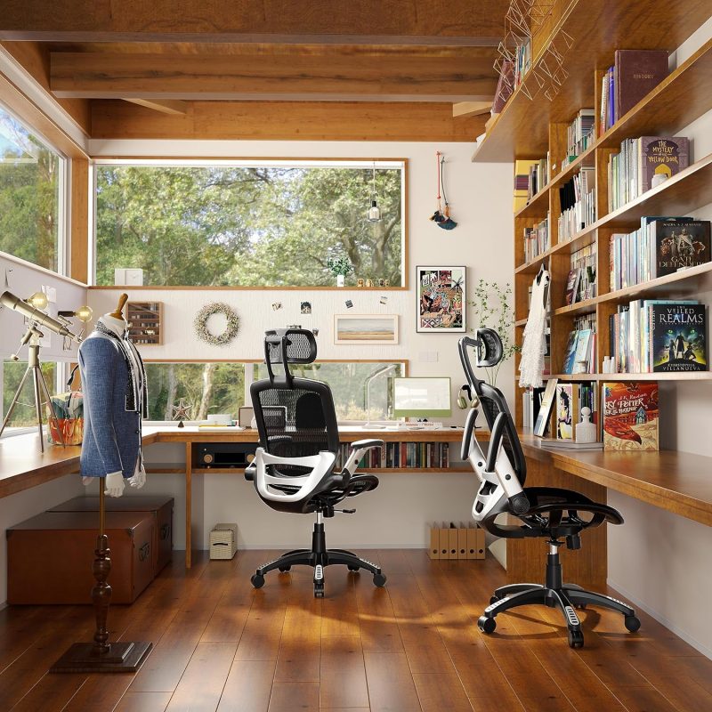 ergonomic chair review